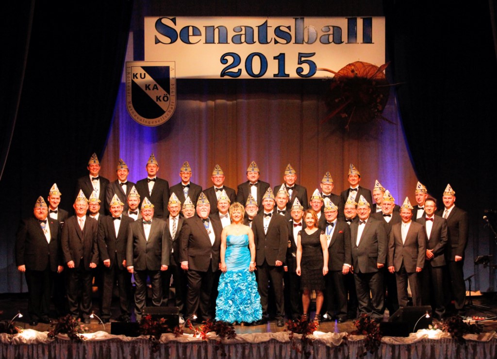 Senatsball 2015 klein